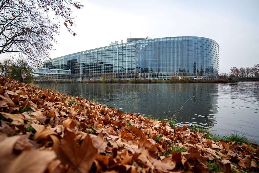 staż w Parlamencie Europejskim